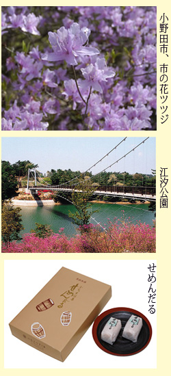 山陽小野田市のツツジ、江汐公園、お土産せめんだるの旧サイト資料