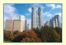 新宿・東京都庁付近の高層ビル群を撮影した風景写真
